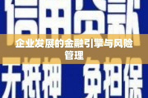 板桥企业发展的金融引擎与风险管理