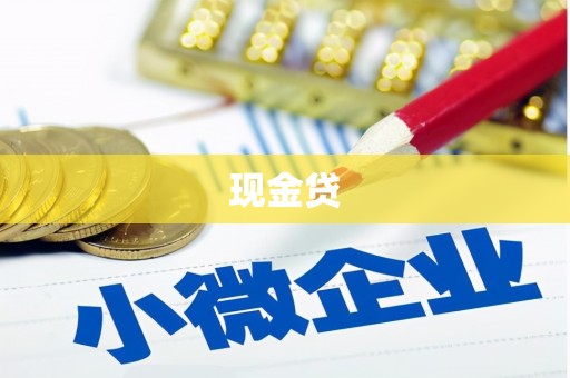 乐东现金贷