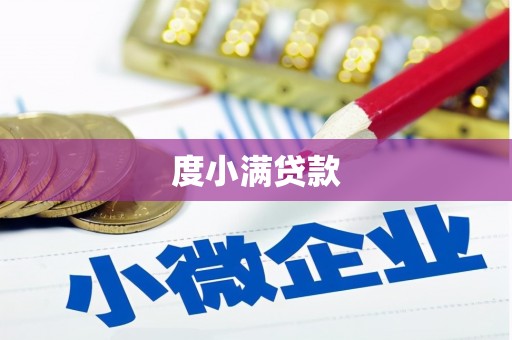 兴庆度小满贷款