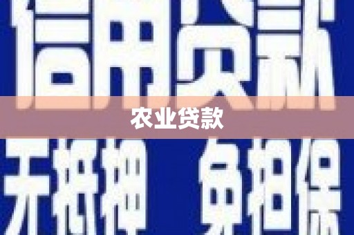 王益农业贷款