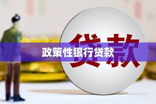 边坝政策性银行贷款