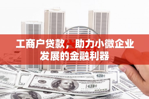 大安工商户贷款，助力小微企业发展的金融利器