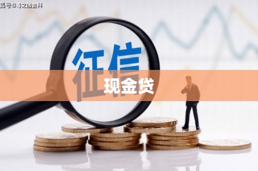 琼结现金贷
