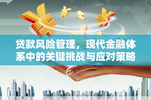 溆浦贷款风险管理，现代金融体系中的关键挑战与应对策略