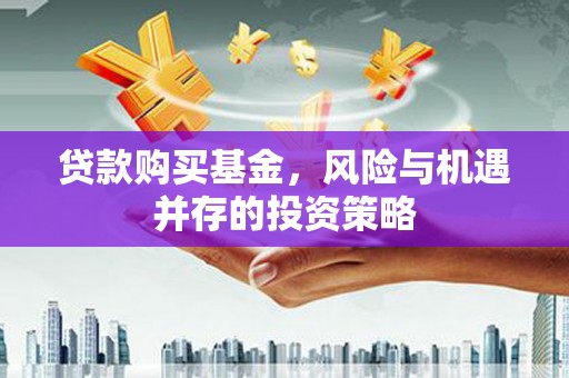 莱城贷款购买基金，风险与机遇并存的投资策略