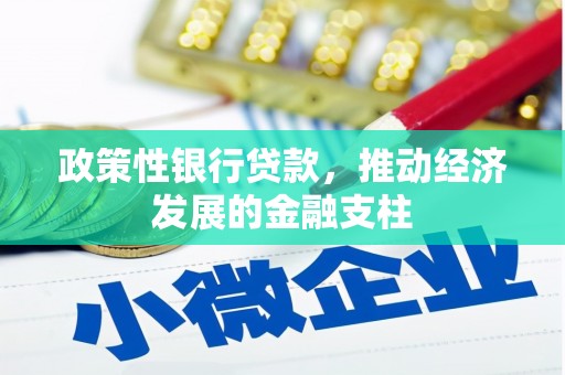 苍溪政策性银行贷款，推动经济发展的金融支柱