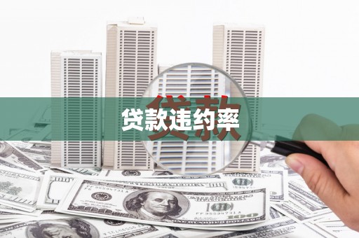 望城贷款违约率