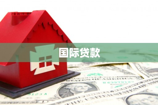 天元国际贷款
