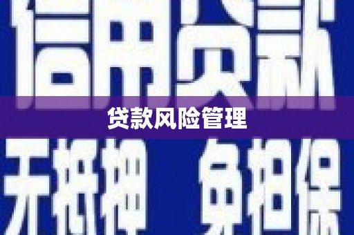 尚义贷款风险管理