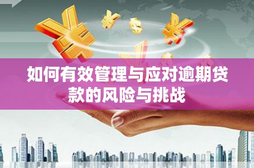 淮上如何有效管理与应对逾期贷款的风险与挑战