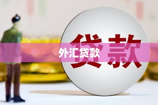 北票外汇贷款