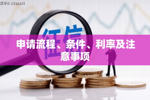 太麻里申请流程、条件、利率及注意事项