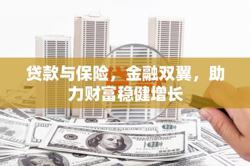 望谟贷款与保险，金融双翼，助力财富稳健增长