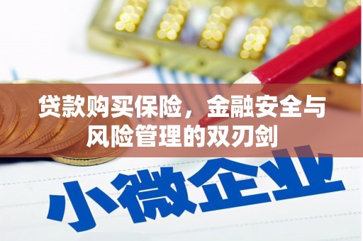 循化贷款购买保险，金融安全与风险管理的双刃剑