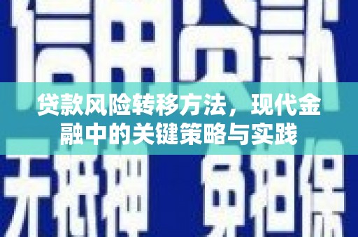 山南贷款风险转移方法，现代金融中的关键策略与实践