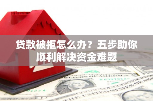 玉树贷款被拒怎么办？五步助你顺利解决资金难题