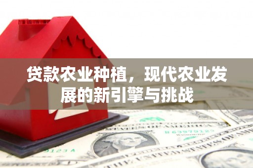 晋州贷款农业种植，现代农业发展的新引擎与挑战