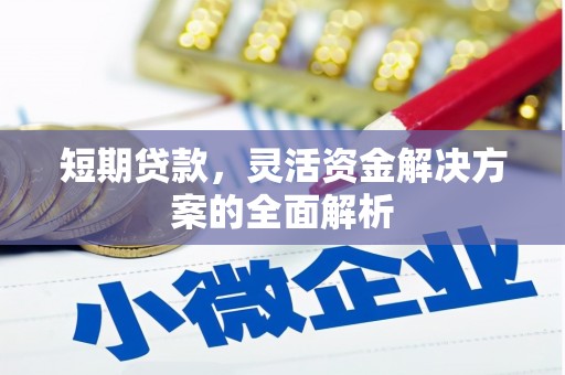 新园短期贷款，灵活资金解决方案的全面解析