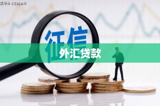 博罗外汇贷款