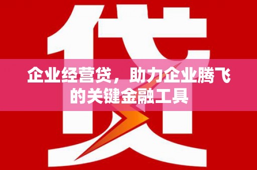 色达企业经营贷，助力企业腾飞的关键金融工具