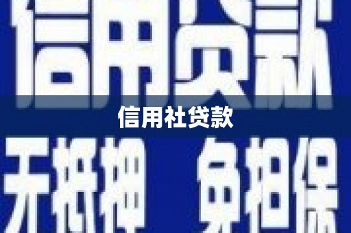 阳高信用社贷款