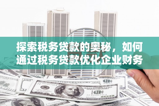 保定探索税务贷款的奥秘，如何通过税务贷款优化企业财务