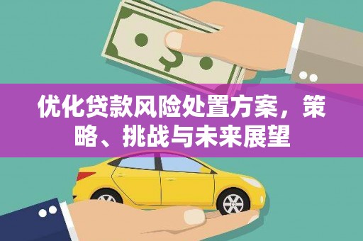 吉木萨尔优化贷款风险处置方案，策略、挑战与未来展望