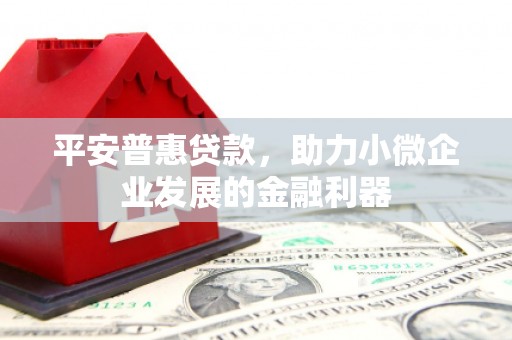 应县平安普惠贷款，助力小微企业发展的金融利器
