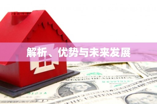 贞丰解析、优势与未来发展