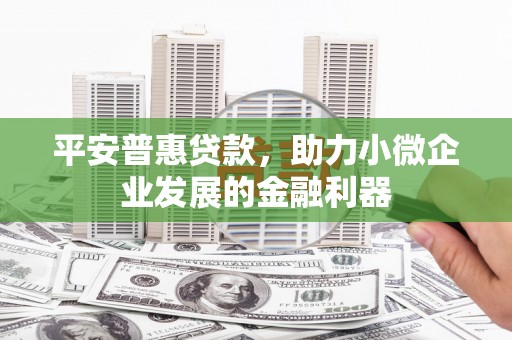 托克逊平安普惠贷款，助力小微企业发展的金融利器