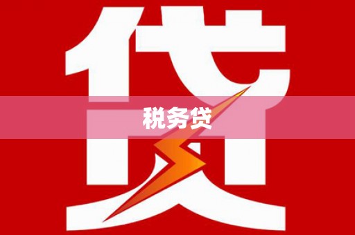 淮上税务贷