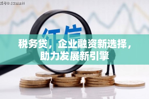 津南税务贷，企业融资新选择，助力发展新引擎