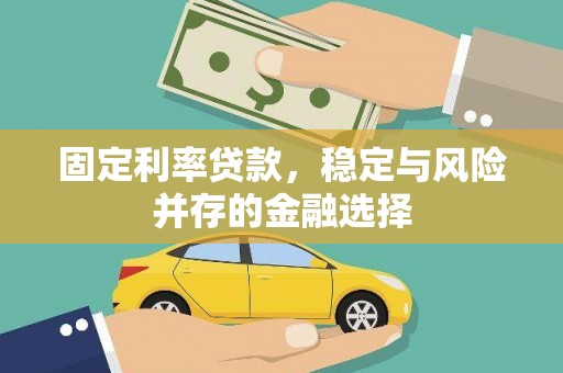 嘉黎固定利率贷款，稳定与风险并存的金融选择