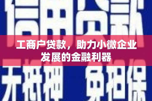 单县工商户贷款，助力小微企业发展的金融利器