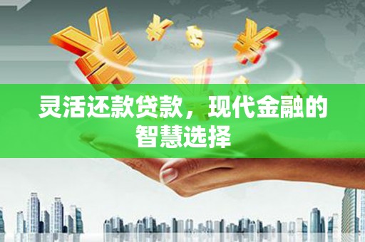 卧龙灵活还款贷款，现代金融的智慧选择