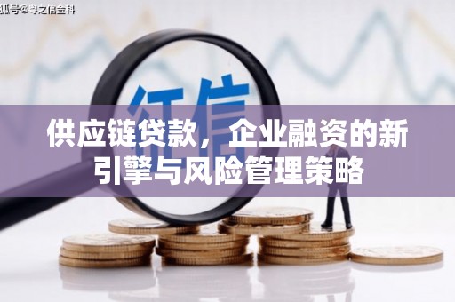 浈江供应链贷款，企业融资的新引擎与风险管理策略