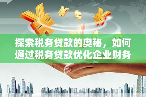 赫山探索税务贷款的奥秘，如何通过税务贷款优化企业财务