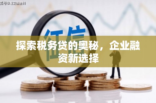 春日探索税务贷的奥秘，企业融资新选择