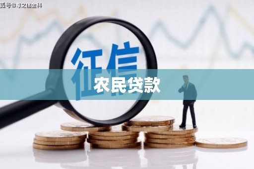 观音农民贷款