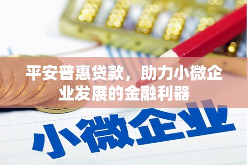 林芝平安普惠贷款，助力小微企业发展的金融利器