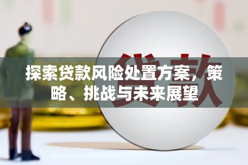 博望探索贷款风险处置方案，策略、挑战与未来展望