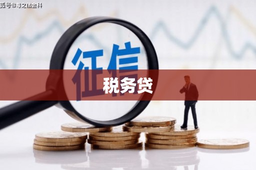 息县税务贷