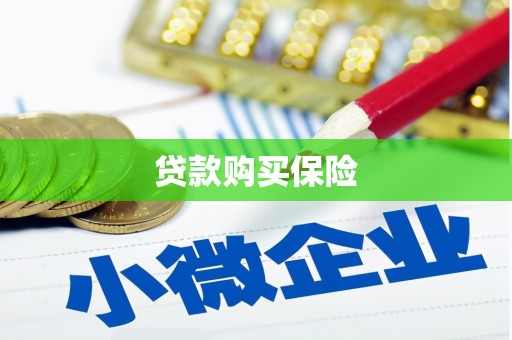 企石贷款购买保险
