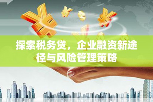 中和探索税务贷，企业融资新途径与风险管理策略
