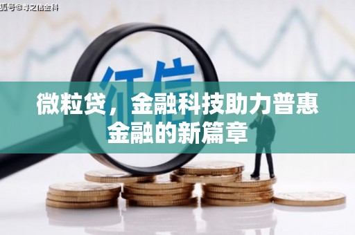 柳东微粒贷，金融科技助力普惠金融的新篇章