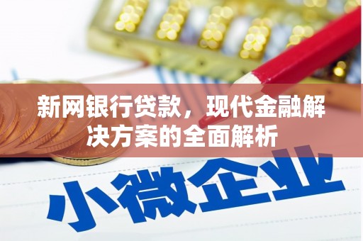 海东新网银行贷款，现代金融解决方案的全面解析