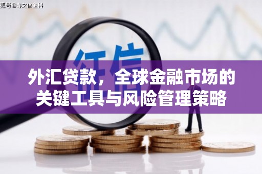 顺庆外汇贷款，全球金融市场的关键工具与风险管理策略