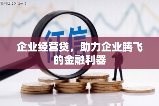 三穗企业经营贷，助力企业腾飞的金融利器