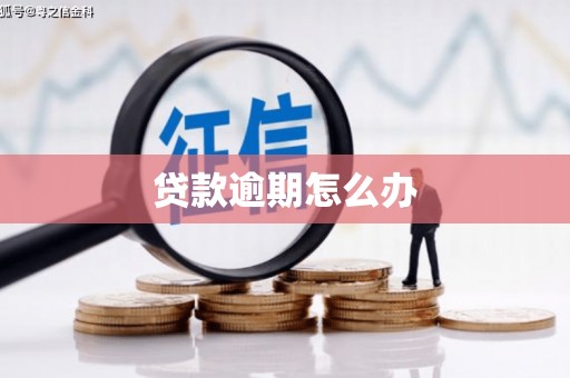 灌南贷款逾期怎么办