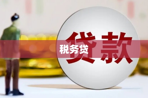 七星税务贷